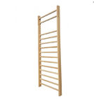 Wooden Freestanding Gymnastic Swedish Ladder 35x7x110in